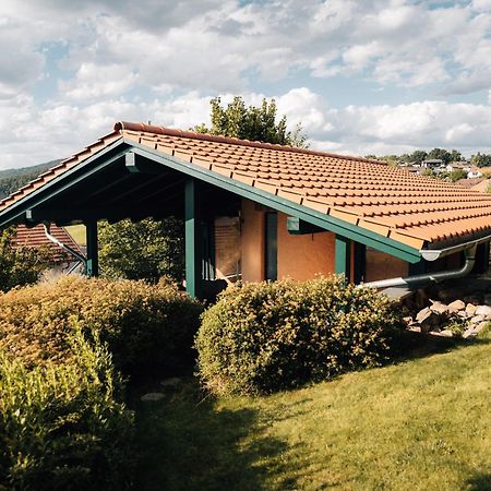 Holiday Home With Whirlpool And Sauna In Viechtach Zewnętrze zdjęcie